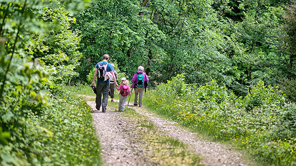 Wander- und Spazierwege für alle Ansprüche